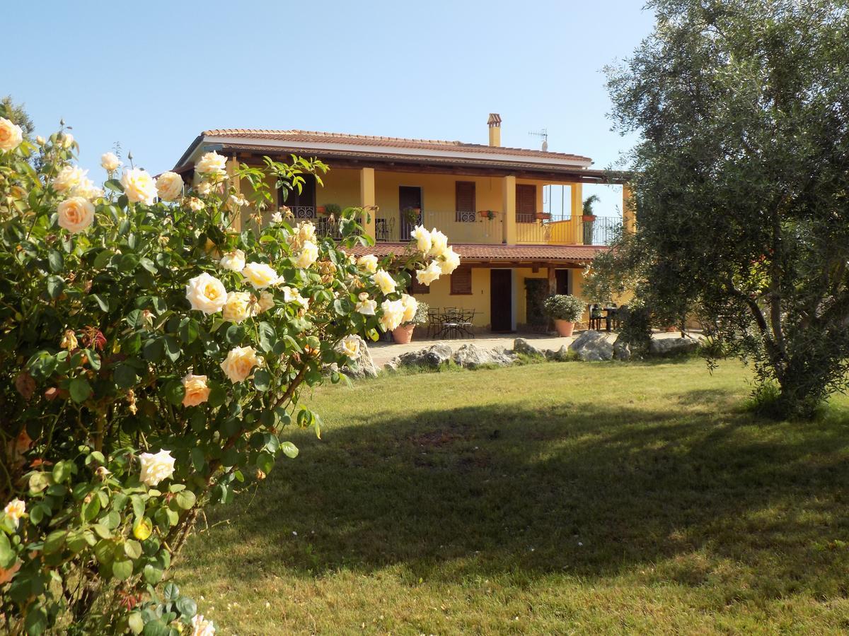 Villa Sorrentina Alghero Dış mekan fotoğraf