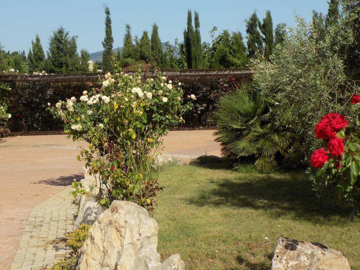 Villa Sorrentina Alghero Dış mekan fotoğraf